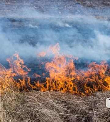 У Кривому Розі зберігається висока пожежна небезпека
