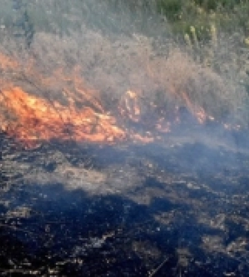 У Підвиноградові горіла суха трава