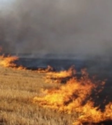 На Берегівщині згорів гектар стерні