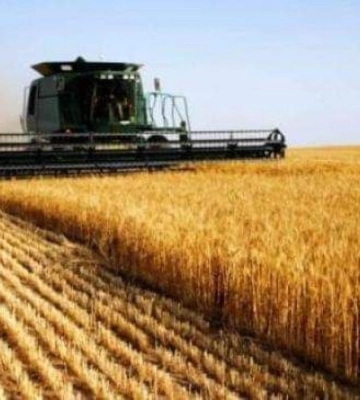 Уночі на Рівненщині буде гроза
