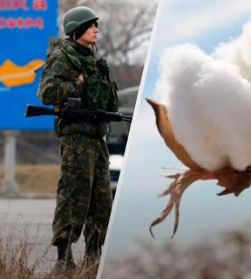 &quot;Бавовна&quot; в окупованому Криму, вибухи на Запоріжжі: хронологія 535 дня війни