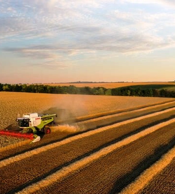 В Україні зібрали понад 22 мільйона тонн зерна нового врожаю