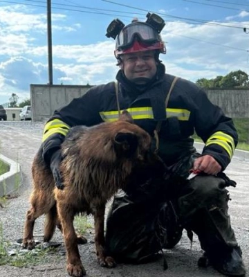 У Рівному з котловану з водою рятувальник витягнув вівчарку