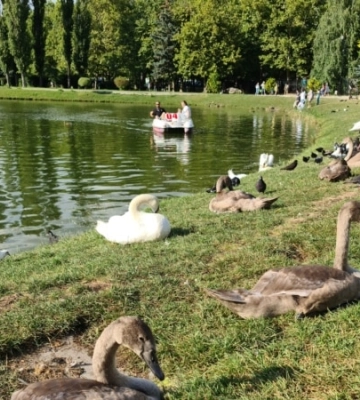 Бэби-бум в Гагаринском парке Симферополя (фотогалерея)