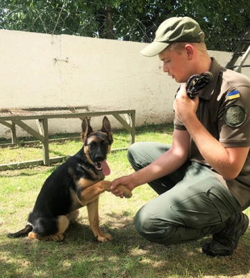 На Волині судитимуть літню жінку, яка кинула у колодязь двох собак