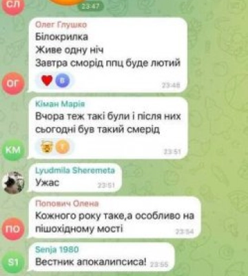Нашестя комах: у сусідній із Закарпаттям області сталася ДТП через рій