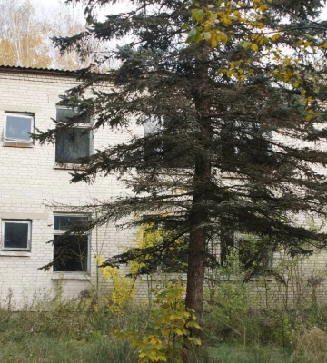 Санаторій в Журавичах продали за 8 мільйонів гривень фірмі «Карлеоне»