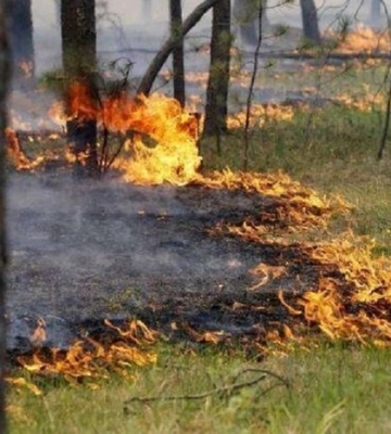 У Києві та області оголосили надзвичайний рівень пожежної небезпеки