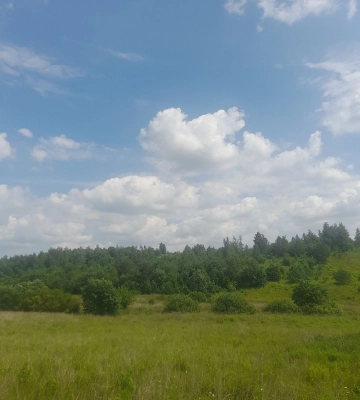 На 12 років: у Луцькому районі віддають в оренду 15 комунальних земельних ділянок