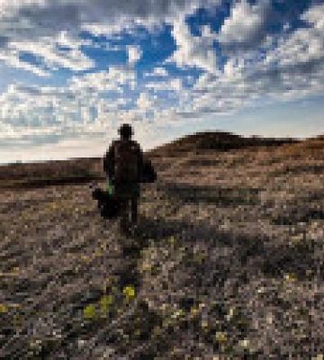 У районах Мар&#039;їнки та Красногорівки ворог вів безуспішні наступальні дії - Генштаб