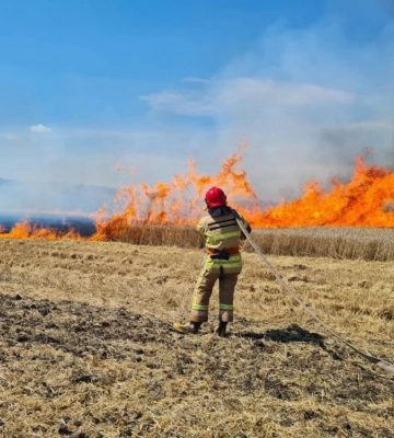 На Дубенщині горіло пшеничне поле