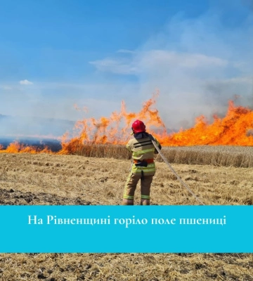 На Дубенщині горіло пшеничне поле