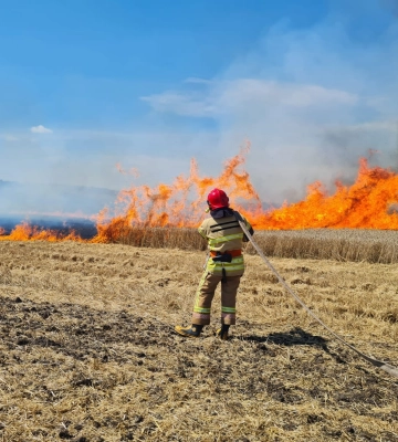 На Дубенщині горіло пшеничне поле
