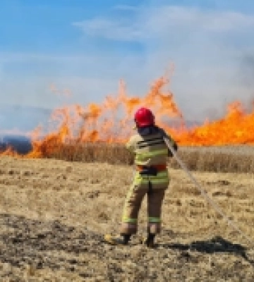 Поблизу Дубна горіли посіви пшениці. ФОТО