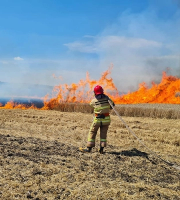Рятувальники Дубенщини ліквідували пожежу посіву пшениці