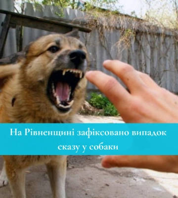 На півдні Рівненщини у домашнього собаки виявили сказ: Які села опинилися під загрозою