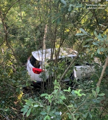 Дітей врятували паски безпеки: поблизу Маневичів авто злетіло в кювет 