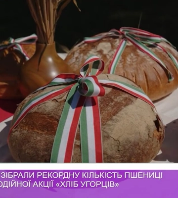 На Закарпатті зібрали рекордну кількістть пшениці в межах благодійної акції «Хліб угорців» (відео)