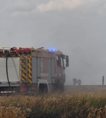 На Львівщині вогнеборці врятували від знищення вогнем понад 2 га пшениці