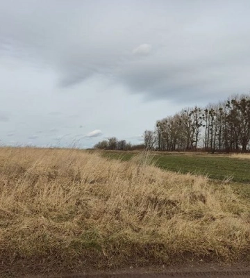 У Малих Підлісках біля Львова вперше продали землю з аукціону: скільки вторгували