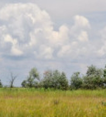 На окупованому острові Джарилгач пожежа знищила 16 км території - нацпарк