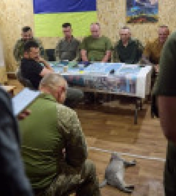 Кіт взяв участь у нараді Зеленського з військовими