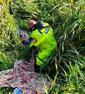 На Волині на 113 тисяч оштрафували чоловіка, який підпалив 200 гектарів заказника