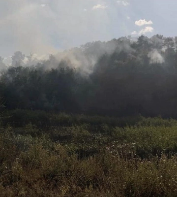 У Львові побили трансгендерну військову, яка приїхала на похорон матері: омбудсмен відреагував на інцидент