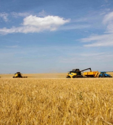 Волинські аграрії вже зібрали 75% посівів пшениці