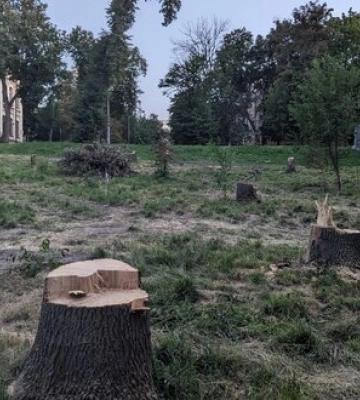 У Києві комунальники вирізали частину парку КПІ 