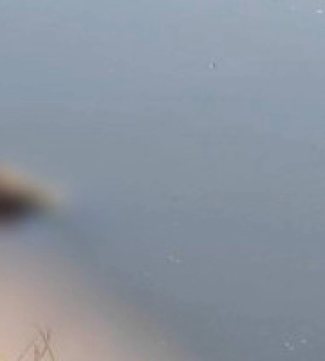 На Обухівщині діти виявили в озері тіло чоловіка