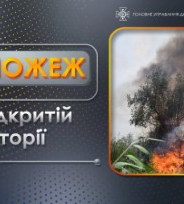 16 серпня на території Миколаївської області зареєстровано 9 випадків загорянь сухостоїв, сміття, чагарників та хвойного настилу