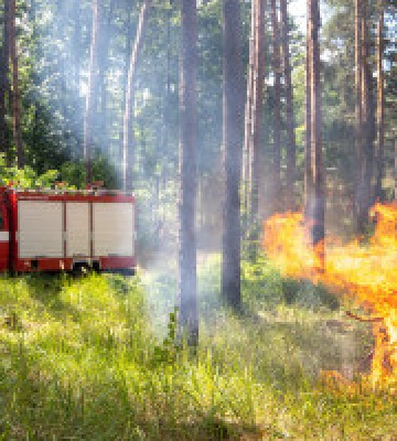 У Києві та області до 20 серпня оголошено надзвичайний рівень пожежної небезпеки