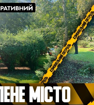 В Днепре коммунальщики проводят работы в зеленых зонах