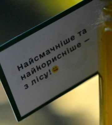 «Бджіл не можна тримати лише заради вигоди, без любові нічого не вийде»: репортаж із лісової пасіки