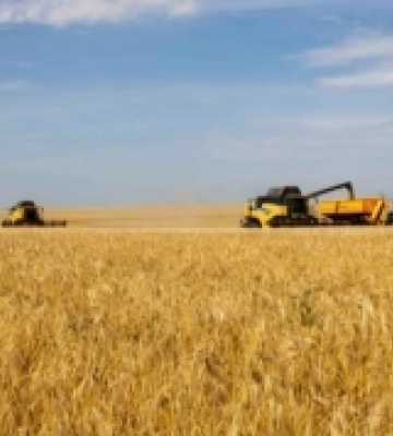 Жнива на Рівненщині вийшли на завершальний етап