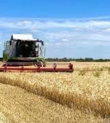 Жнива на Рівненщині – на завершальній стадії