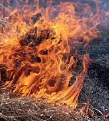 За добу на Миколаївщині сталося 17 пожеж