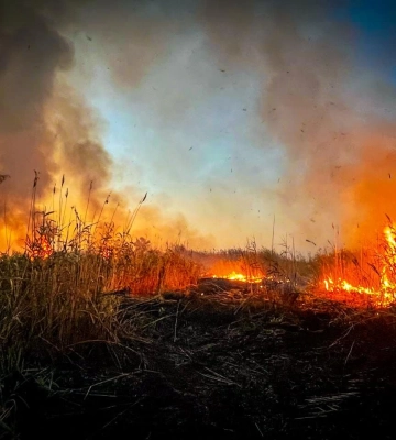 На Одещині за тиждень вигоріло 75 гектарів землі, - ФОТО