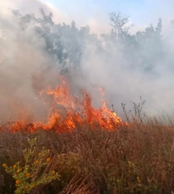 Знову палають екосистеми Херсонщини - за добу ліквідовано 9 пожеж