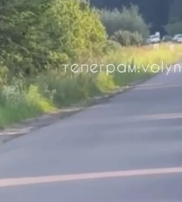 На Волині утворився величезний затор від Світязя до Любомля