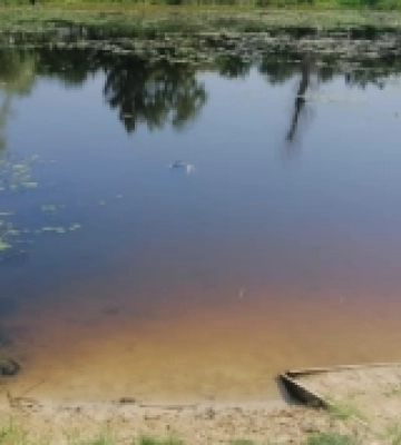 З річки у Костополі дістали чоловіка. ФОТО