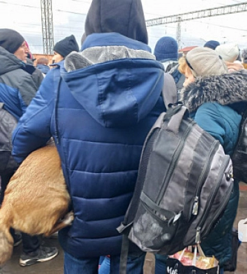В Купянской громаде на Харьковщине объявили обязательную эвакуацию
