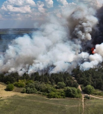 На Миколаївщині горить Андріївське лісове урочище
