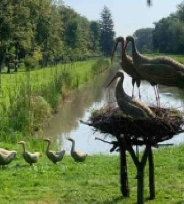 У луцькому парку встановили артінсталяції з лісової трави. ФОТО