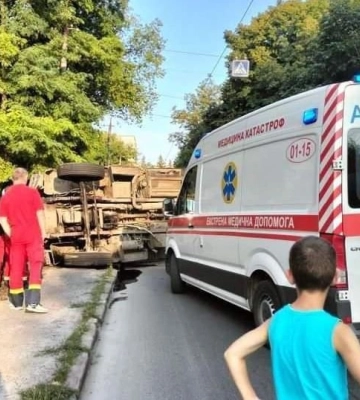 У Луцьку дерево впало на проїжджу частину 
