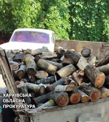 Напилил деревьев на 120 тыс. грн: на Харьковщине будут судить черного лесоруба
