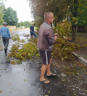 На півдні Харківщини стихія сьогодні зривала дахи та валила дерева 