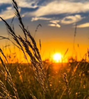 До +30°: якою буде погода у Львові сьогодні