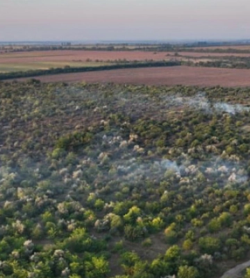 На Миколаївщині майже добу гасили пожежу в Андріївському лісі